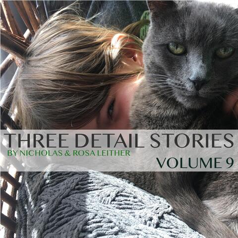 Three Detail Stories, Vol. 9