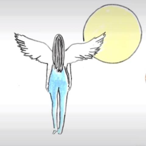 Fly