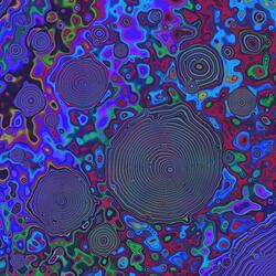 Can You Pass The Acid Test?