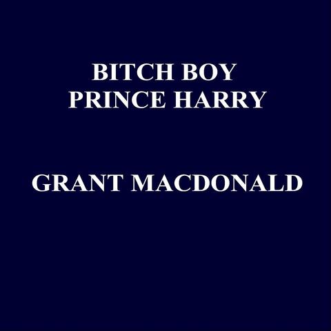 Bitch Boy Prince Harry
