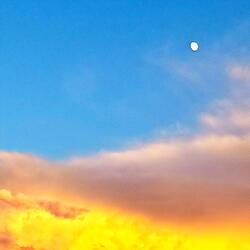 Little Cloud, Please Don't Run Away