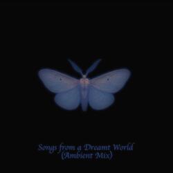 Little Soul (Ambient Mix)