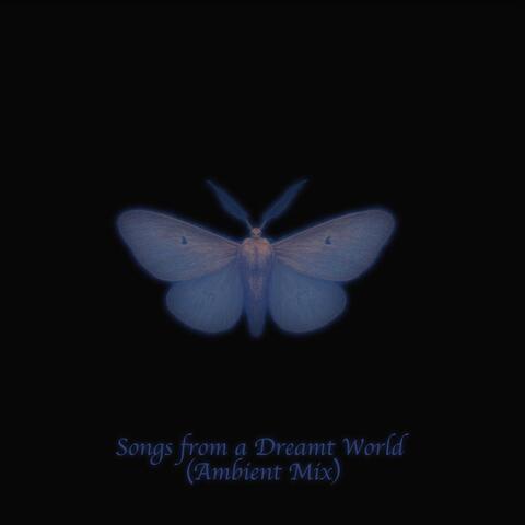 Songs from a Dreamt World (Ambient Mix)