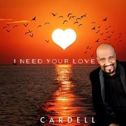I Need Your Love
