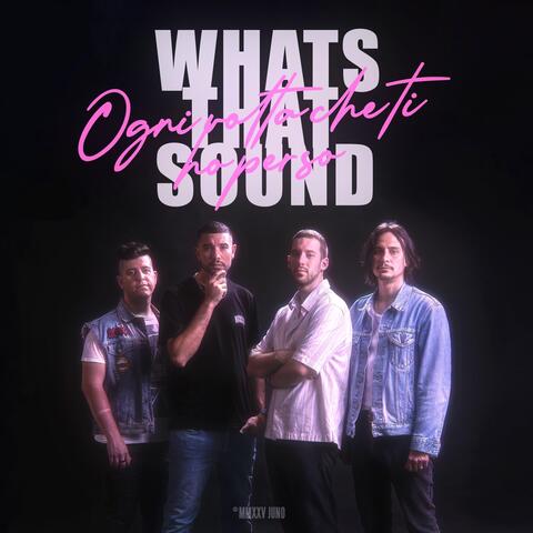 Ogni Volta Che Ti Ho Perso (Whats That Sound)