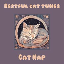 Smooth Sounds for Senior Cats