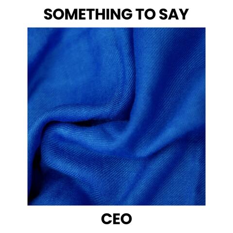 Something to Say