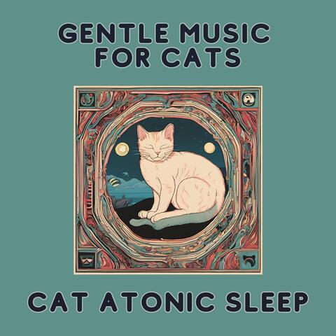 Gentle Music for Cats