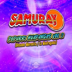 Popurrí Huapangos Vol 2 (Bésame Morenita / La Madrugada)