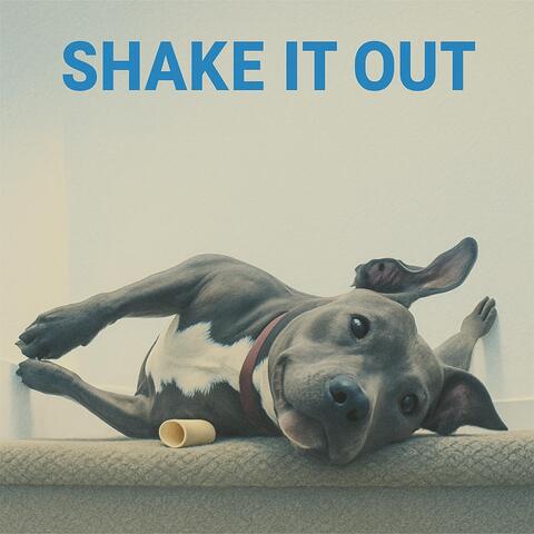 Shake It Out