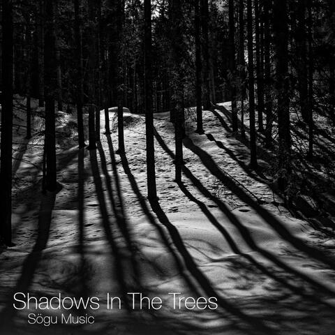Shadows in the Trees