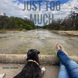 Just Too Much