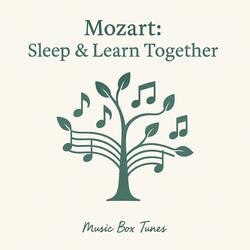 Violin Sonata in D Major Allegro Molto