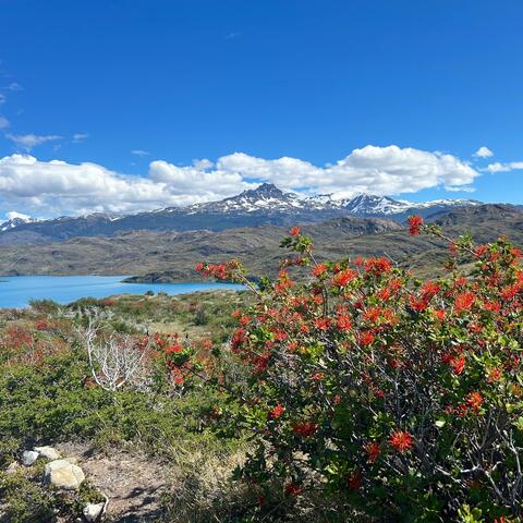 Torres Del Paine National Park – Patagonia, Chile