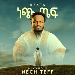 Nech Teff