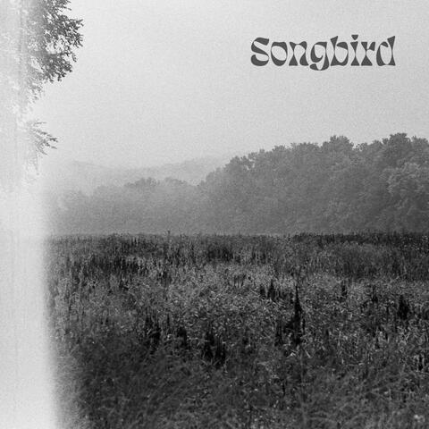 Songbird