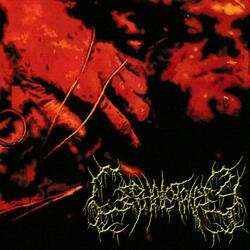Sanguinary Misogynistic Execration