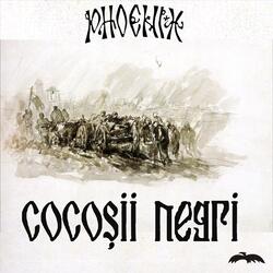 Cocoşii Negri (Live)