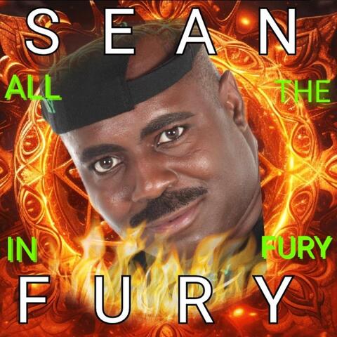 ALL IN THE FURY