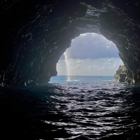 Alone in This Together