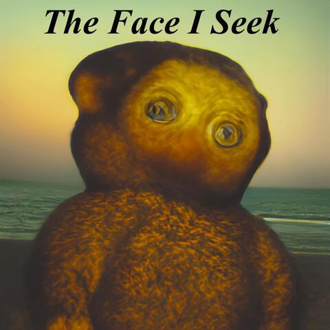 The Face I Seek