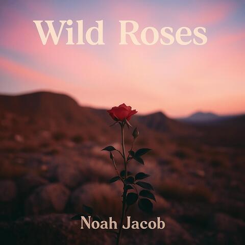 Wild Roses