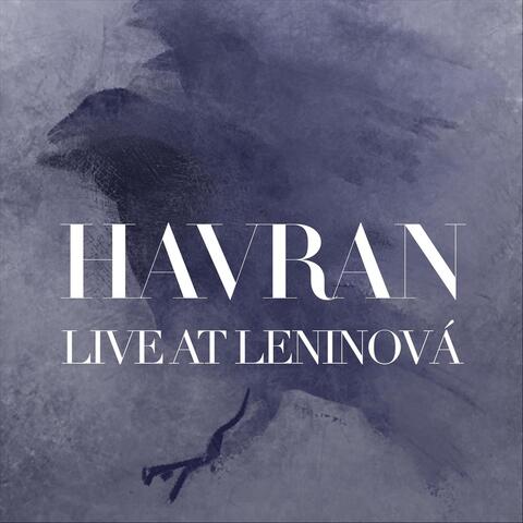 Havran (Live)