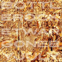 At War with the World