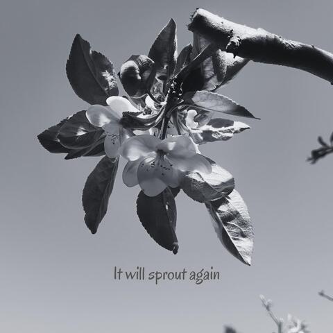 It will sprout again