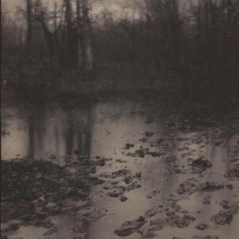 Accompaniments to the Silence