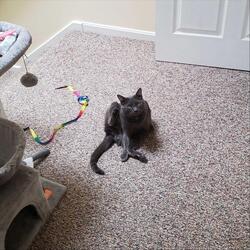 Playing Hard to Get