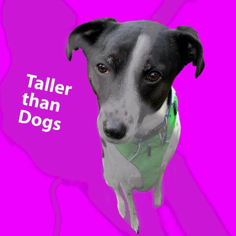 Taller Than Dogs