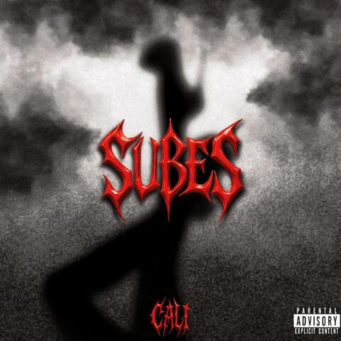 Subes