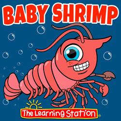 Baby Shrimp
