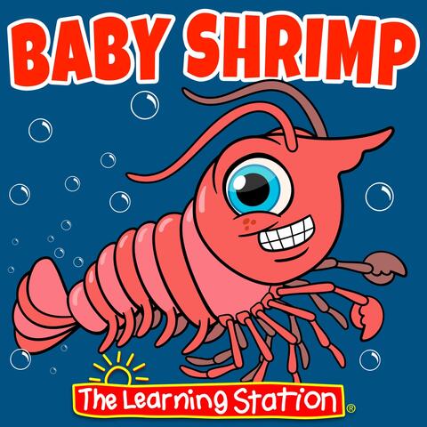 Baby Shrimp