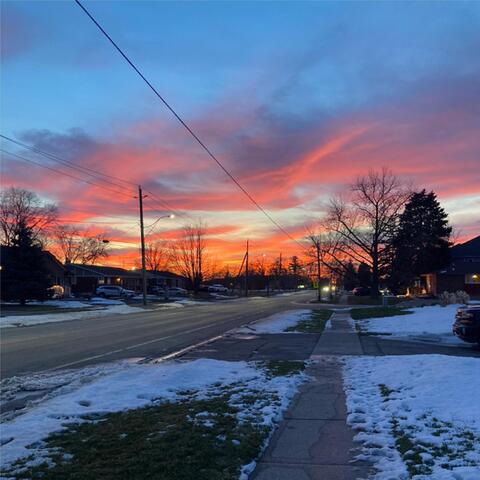 Leopards on the Moon