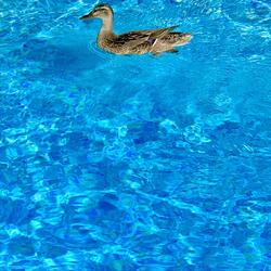 How Don't You Know I'm Not Sober?