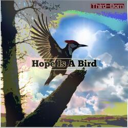 Hope Is a Bird