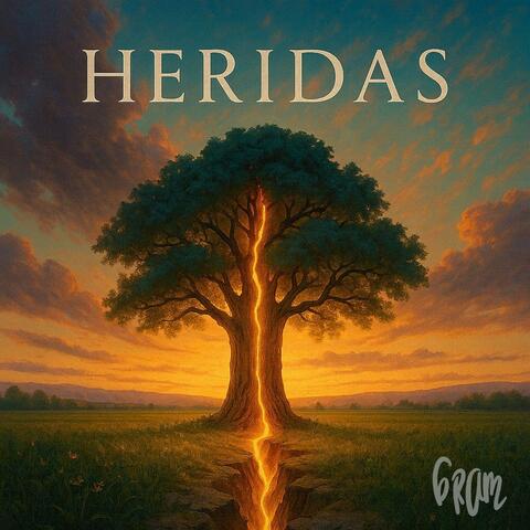 Heridas