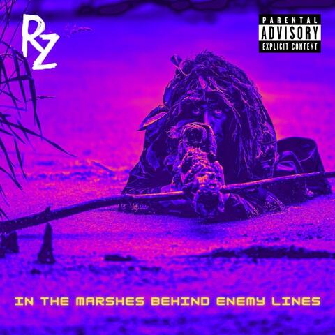 In the Marshes Behind Enemy Lines