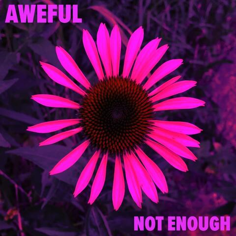 Not Enough