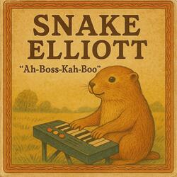 Some Babies Never Learn (Re-Recorded)