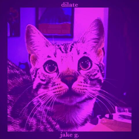 dilate