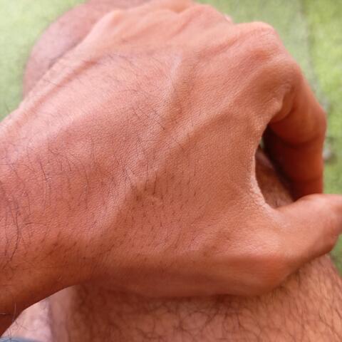 Vocal Elektronic Poeticka