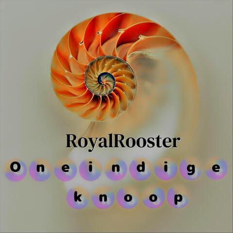 Oneindige knoop