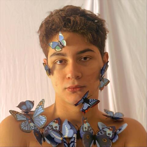 Butterfly Tempo