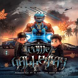 Come Galletas (feat. El Aregu & Baby Dolar)
