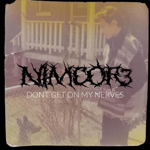 Don't Get on My Nerves