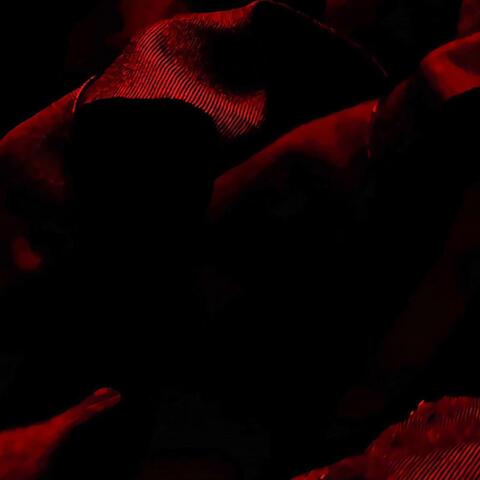 Ojos Oceanicos (feat. Daniela Melchior)