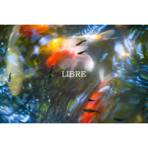 Libre